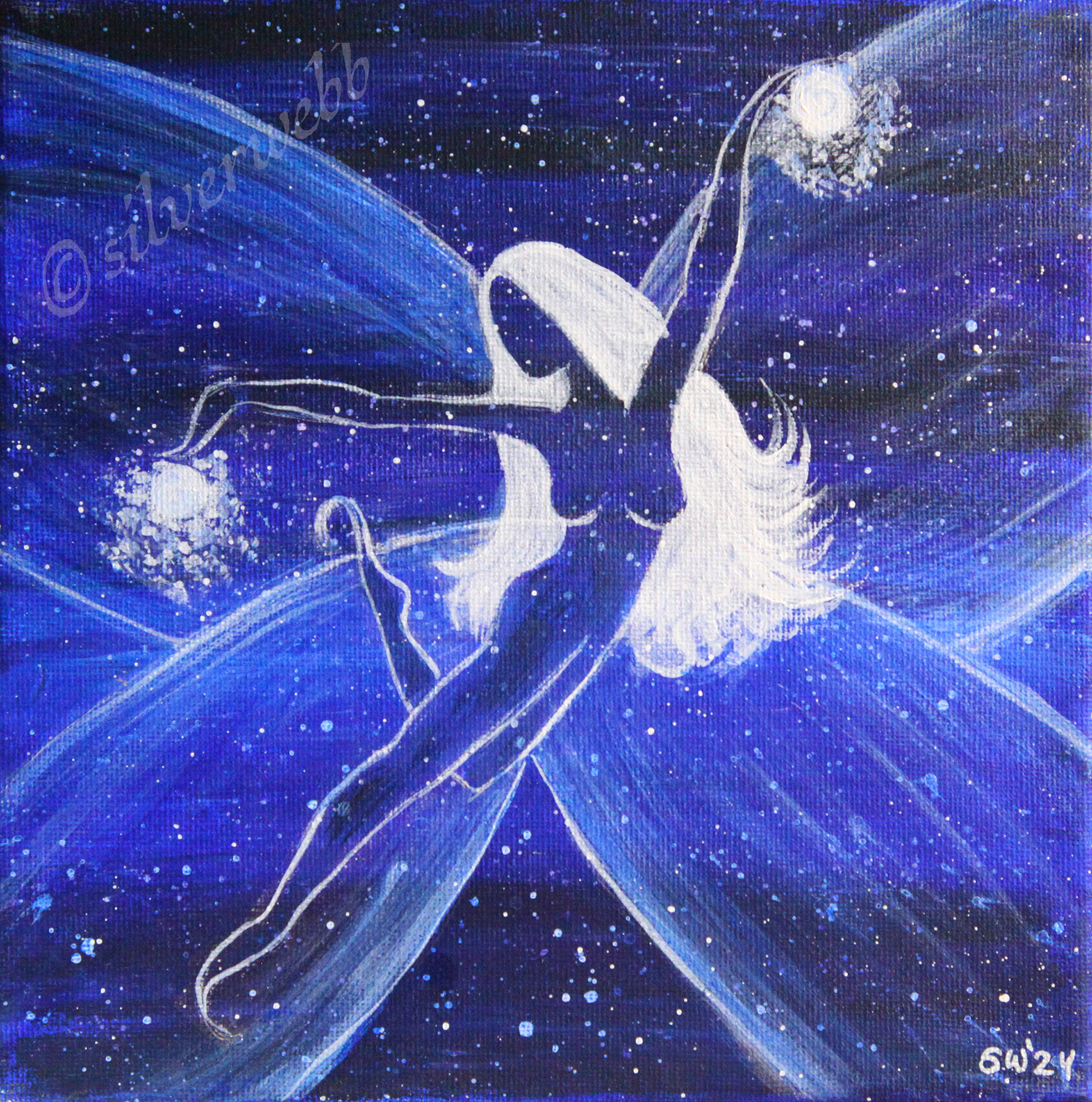 S i l v e r  W e b b